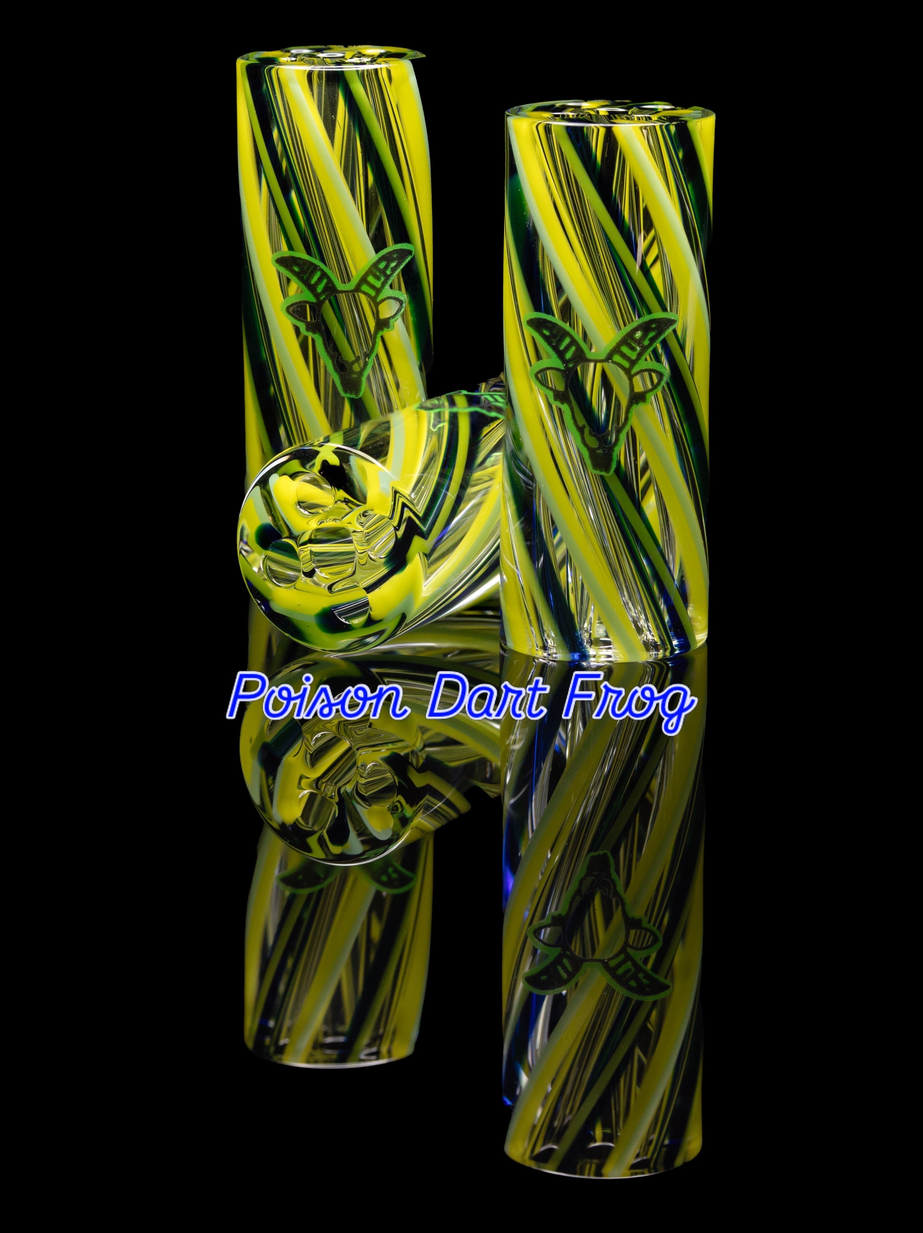 Poison Dart Frog