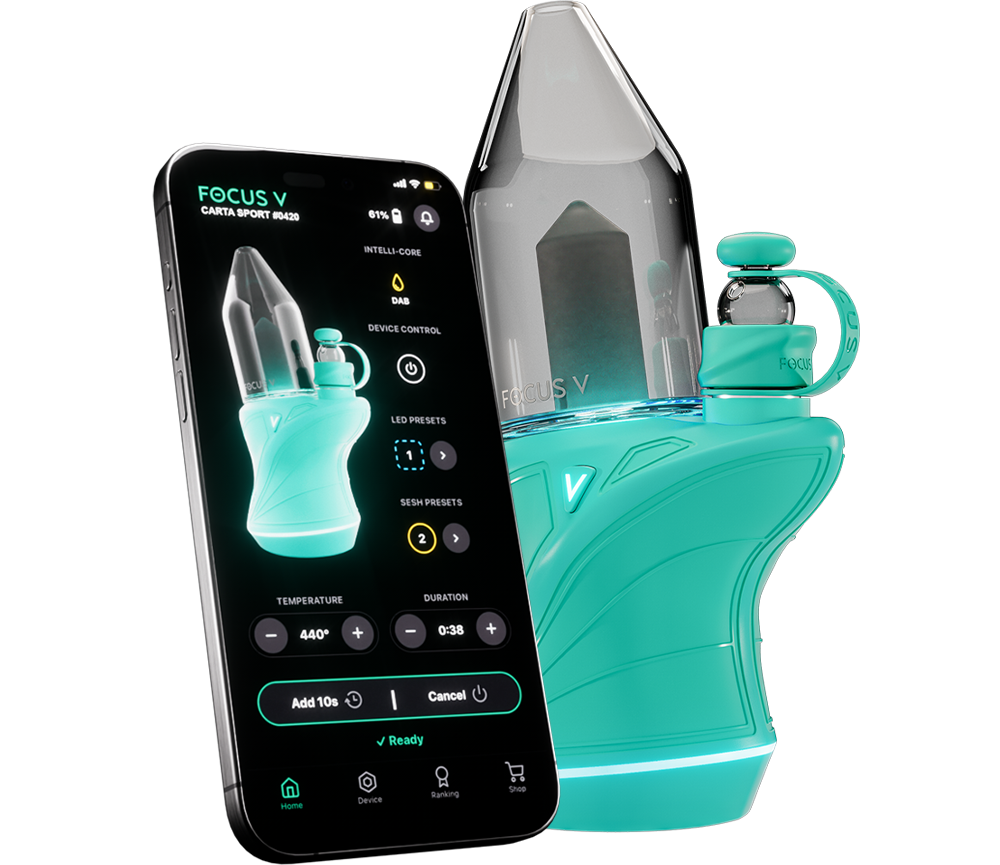 Focus V Carta Sport - Teal