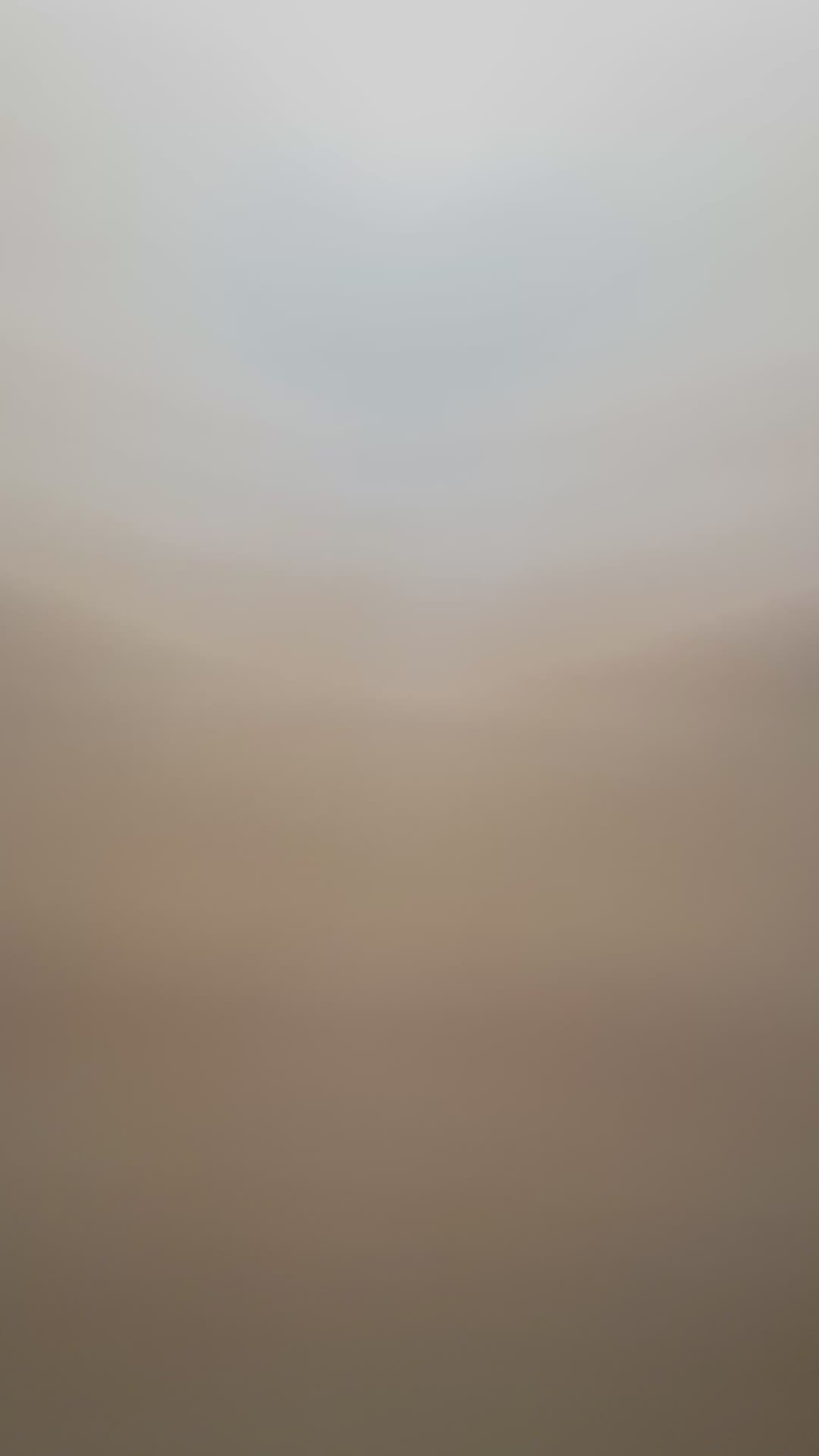 Blue Honey Banana - FYLTA